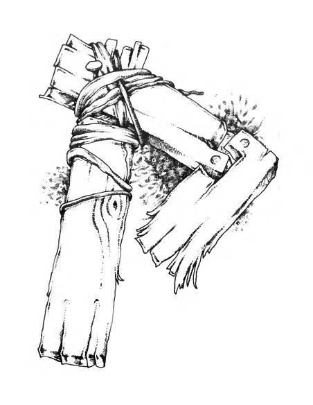 Русское сквернословие. Краткий, но выразительный словарь - _200.jpg