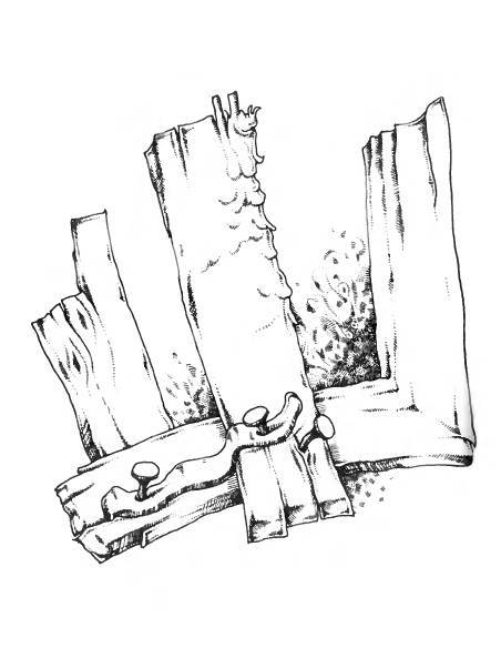 Русское сквернословие. Краткий, но выразительный словарь - _286.jpg