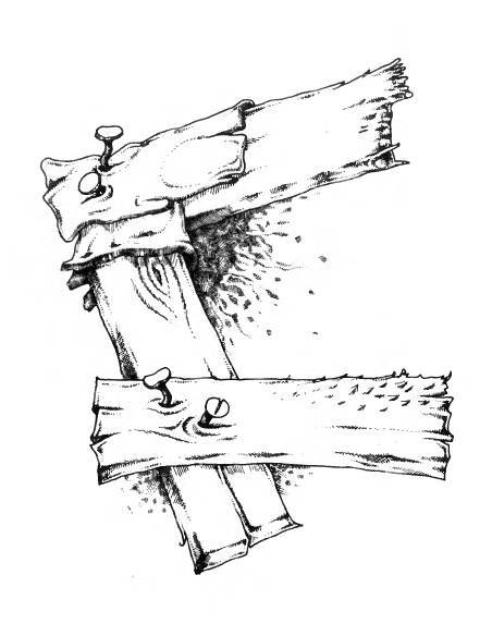 Русское сквернословие. Краткий, но выразительный словарь - _211.jpg