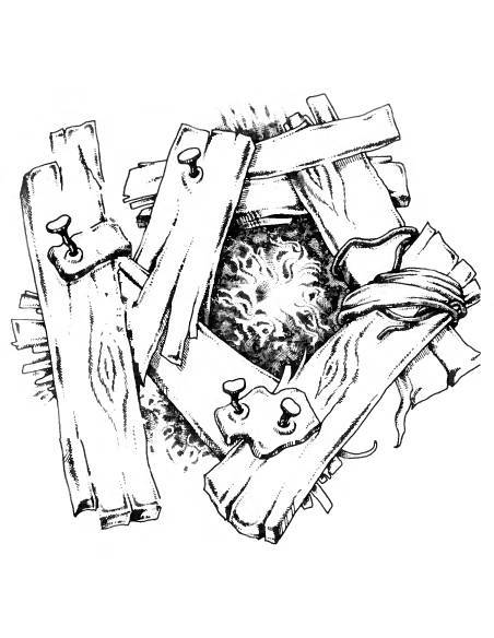 Русское сквернословие. Краткий, но выразительный словарь - _295.jpg