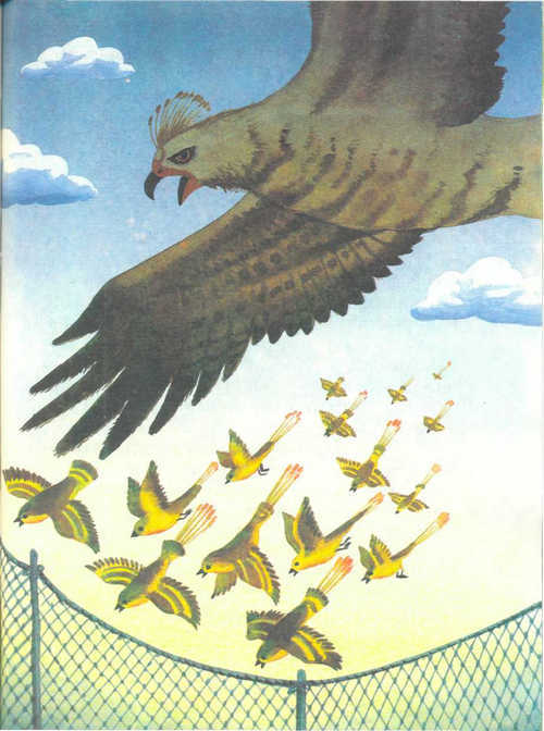 Сказки народов Севера - _102.jpg