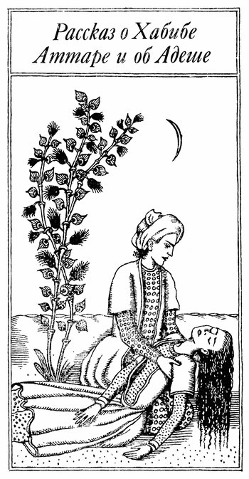 Иранская сказочная энциклопедия - i_017.jpg