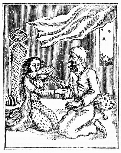 Иранская сказочная энциклопедия - i_018.jpg
