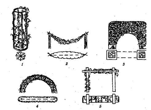 Справочник современного ландшафтного дизайнера - i_058.jpg