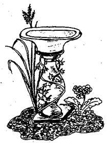 Справочник современного ландшафтного дизайнера - i_059.jpg