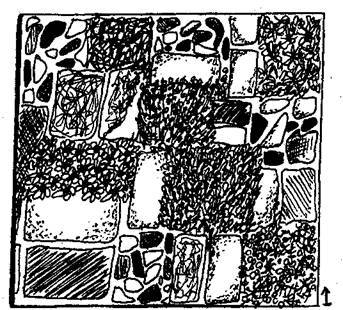 Справочник современного ландшафтного дизайнера - i_061.jpg