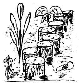 Справочник современного ландшафтного дизайнера - i_063.jpg