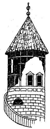 Справочник современного ландшафтного дизайнера - i_064.jpg