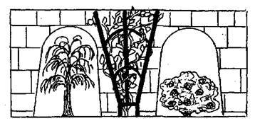 Справочник современного ландшафтного дизайнера - i_065.jpg