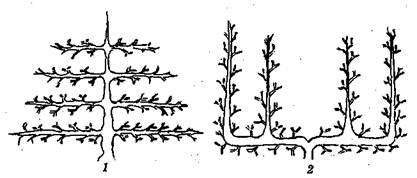Справочник современного ландшафтного дизайнера - i_069.jpg