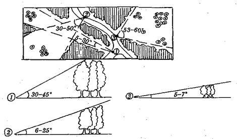 Справочник современного ландшафтного дизайнера - i_076.jpg