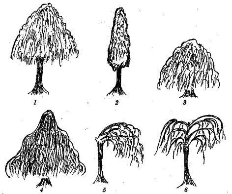 Справочник современного ландшафтного дизайнера - i_084.jpg