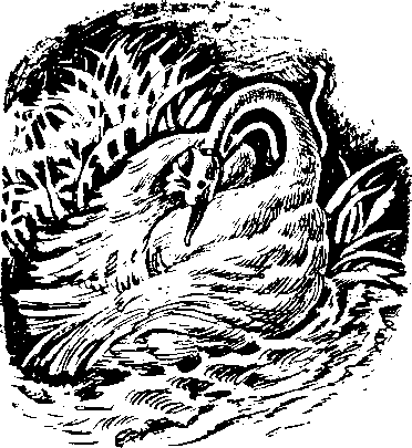 Мифы и герои Древней Руси - image3.png