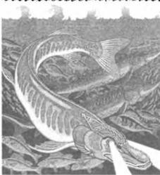 Свято-Русские Веды. Книга Коляды - _18.jpg