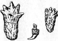 Энциклопедия языческих богов. Мифы древних славян - i_002.jpg