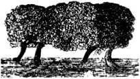 Энциклопедия языческих богов. Мифы древних славян - i_048.jpg