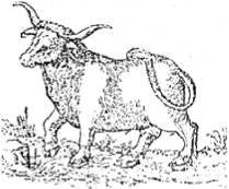 Энциклопедия языческих богов. Мифы древних славян - i_506.jpg