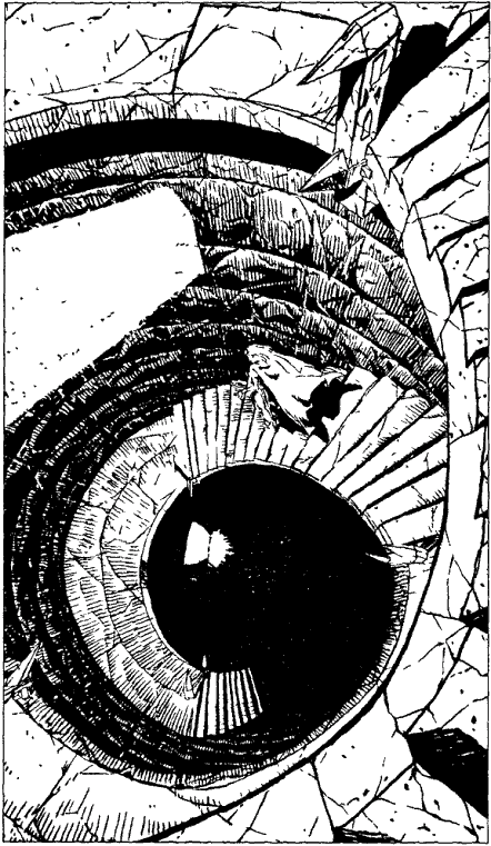 Дело совести (сборник) - i_004.png