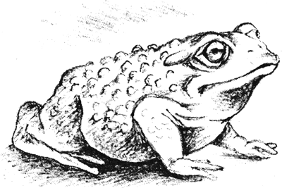 Британские сказки. Домовой из Хилтона - i_039.png