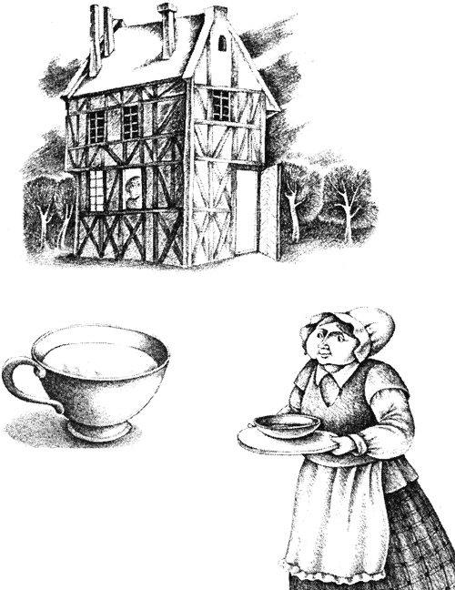 Британские сказки. Домовой из Хилтона - i_119.png