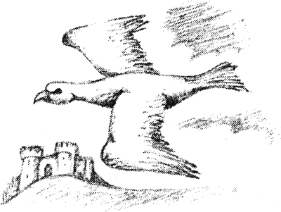 Британские сказки. Домовой из Хилтона - i_129.png