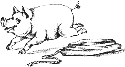 Британские сказки. Домовой из Хилтона - i_196.png