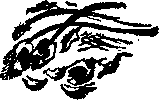 Воин из Киригуа - i_028.png