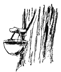 Георг — Синяя Птица (с иллюстрац.) - img_17.png