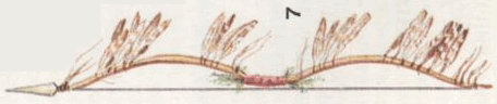 Индейцы Великих равнин - i_083.png