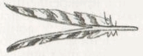 Индейцы Великих равнин - i_263.png