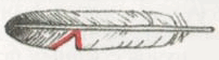 Индейцы Великих равнин - i_265.png