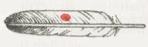 Индейцы Великих равнин - i_267.png