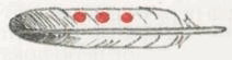 Индейцы Великих равнин - i_268.png