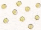 Индейцы Великих равнин - i_272.png