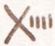 Индейцы Великих равнин - i_281.png