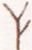 Индейцы Великих равнин - i_283.png