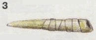 Индейцы Великих равнин - i_342.png
