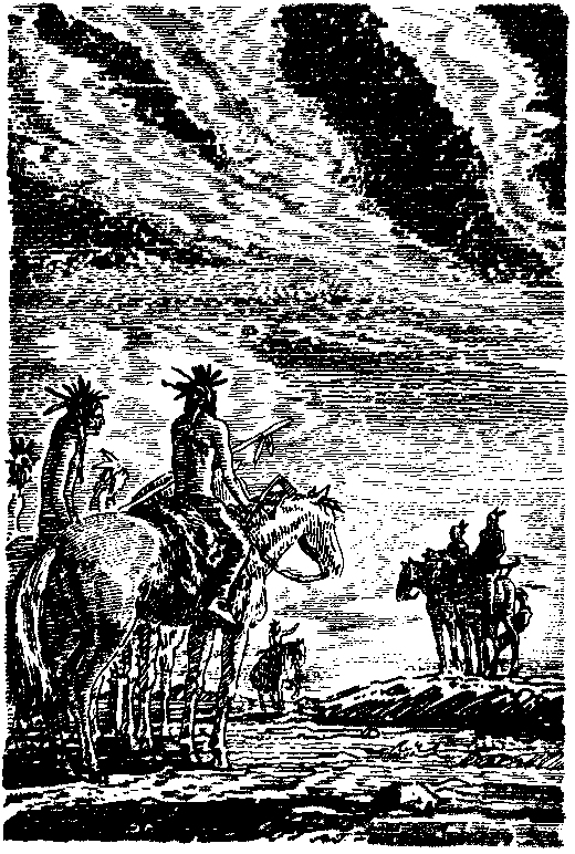 Топ и Гарри (Художник А. Громов) - pic_5.png