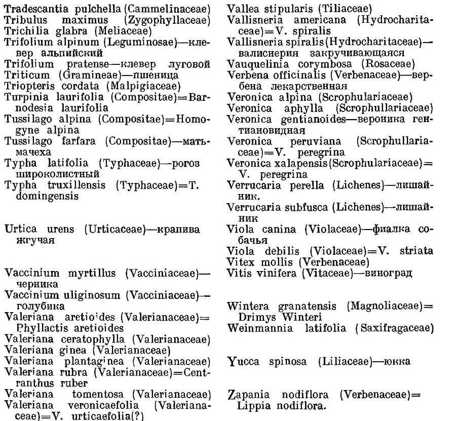 География растений - _45.jpg