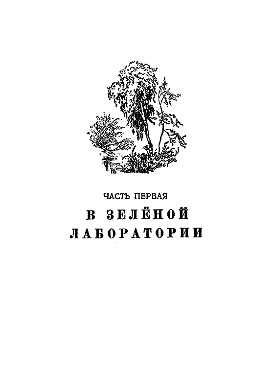 Рассказы о цветах - i_002.png