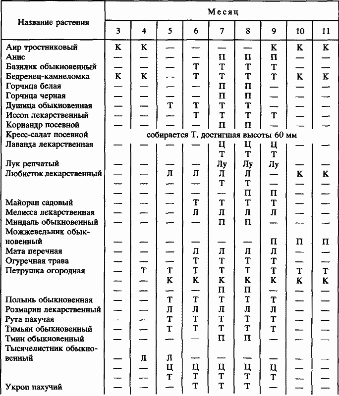 Пряности - i_002.png