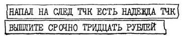 Грибы на асфальте - pic_26.jpg
