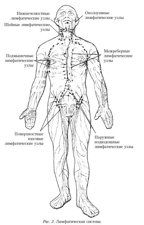 Самоучитель массажа. - _2.jpg