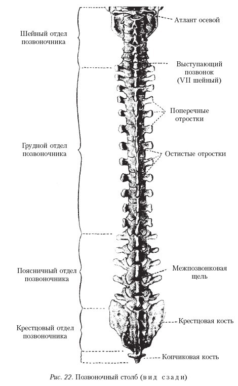 Самоучитель массажа. - _22.jpg