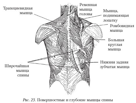 Самоучитель массажа. - _23.jpg