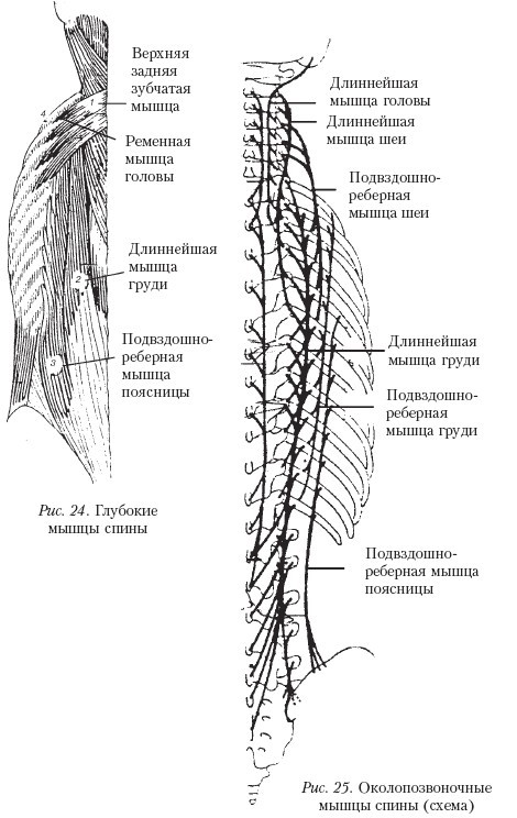 Самоучитель массажа. - _25.jpg