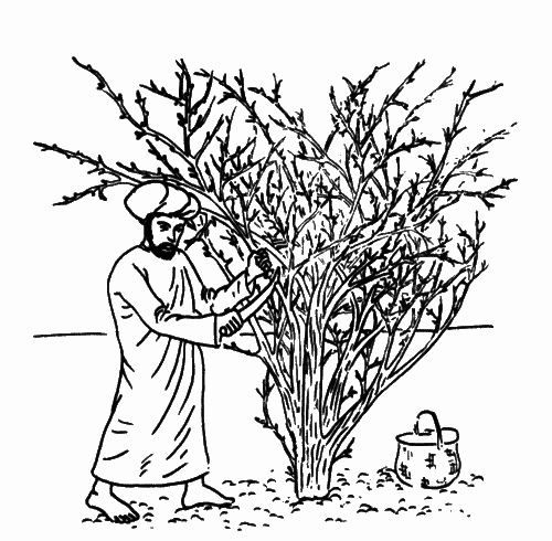 В мире запахов и звуков - i_047.png