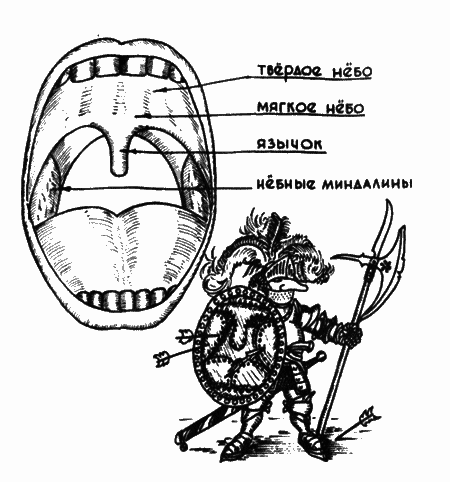 В мире запахов и звуков - i_055.png