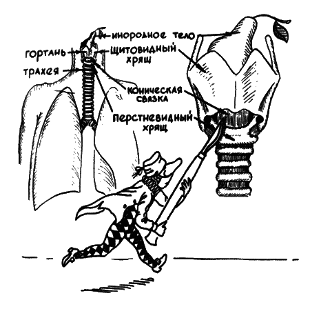 В мире запахов и звуков - i_061.png