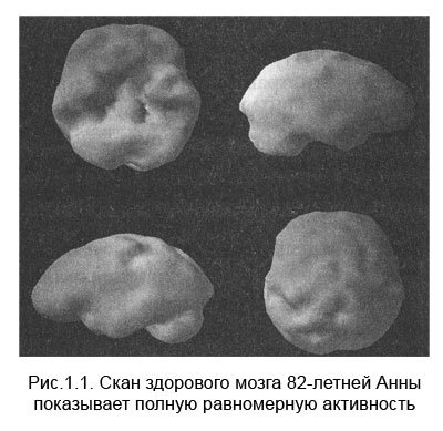 Измени мозг - изменится и тело - _2.jpg